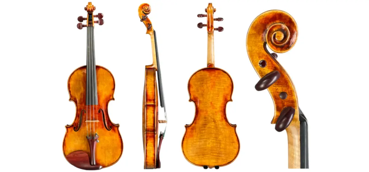 Front, side, back, and scroll views of a violin. The same instrument is used for mariachi and orchestra.