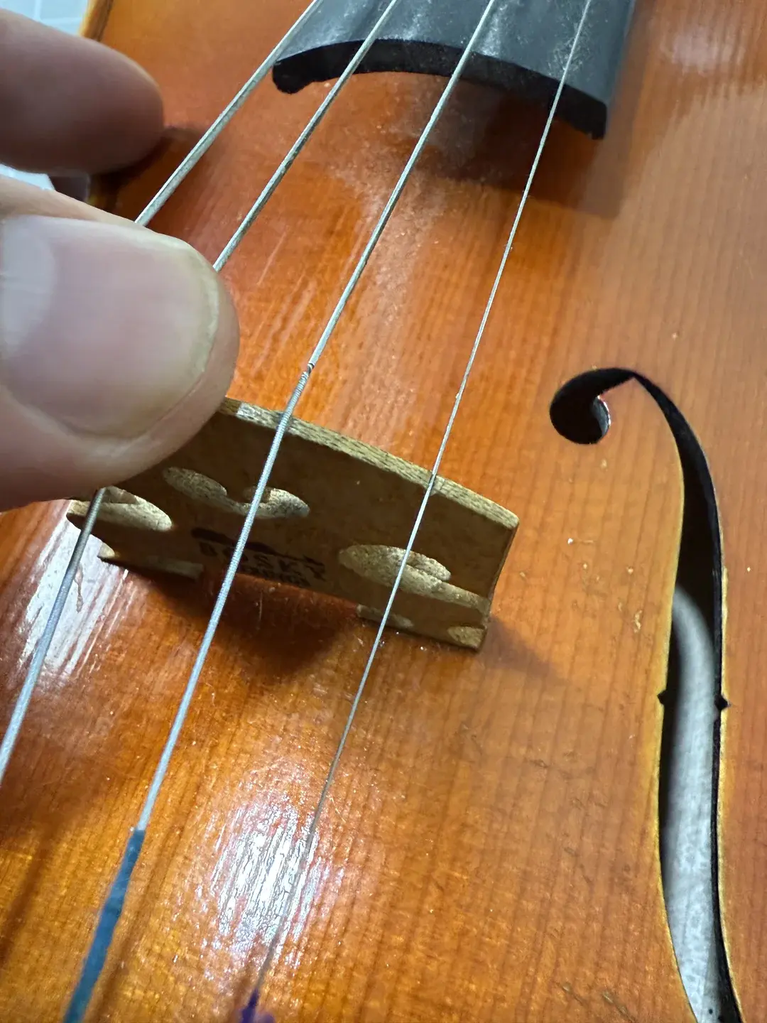 String instrument strings closeup at Bosky Strings
