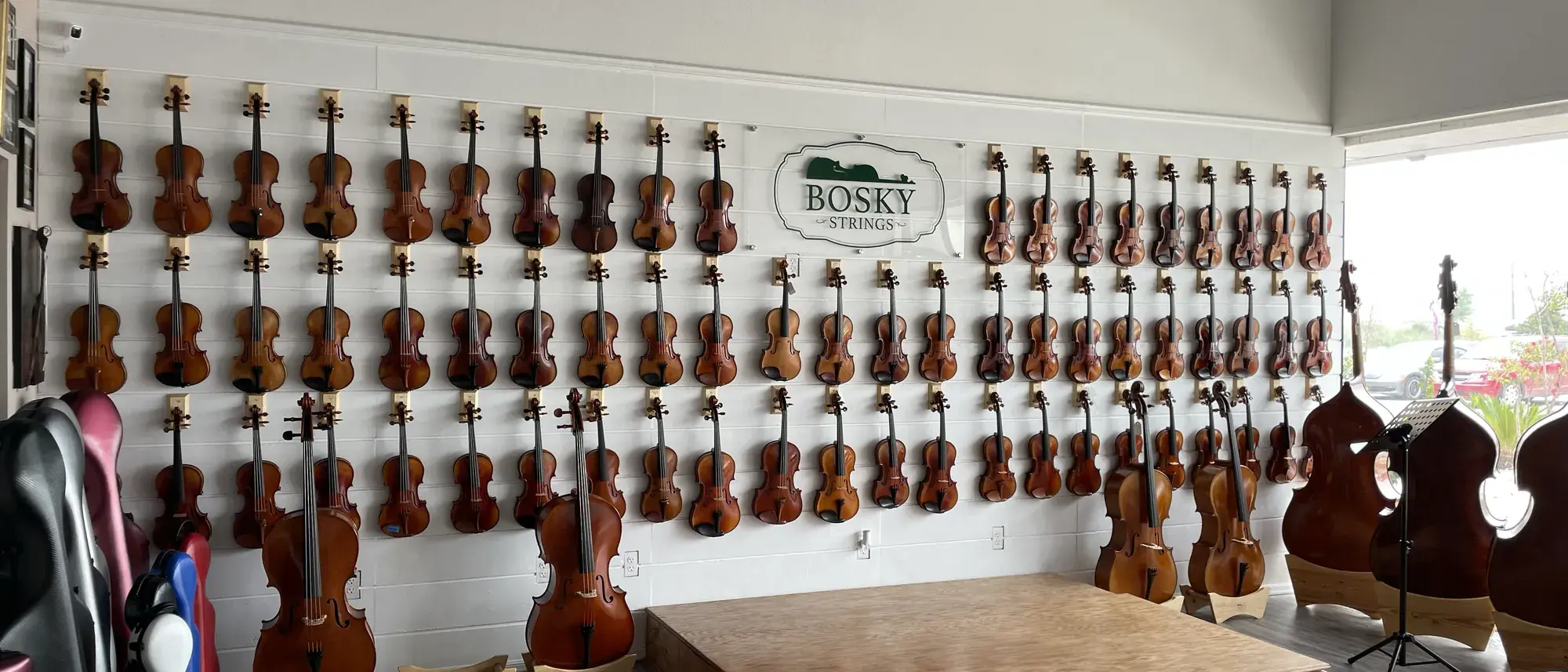 The Bosky Strings showroom wall in Edinburg, Texas, lined with violins, violas, cellos, and basses