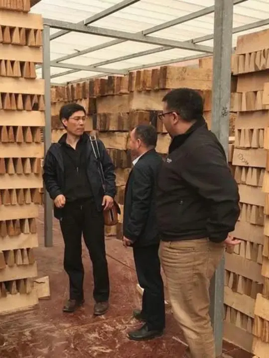 Ray Zhang, luthier y socio comercial en Bosky Strings